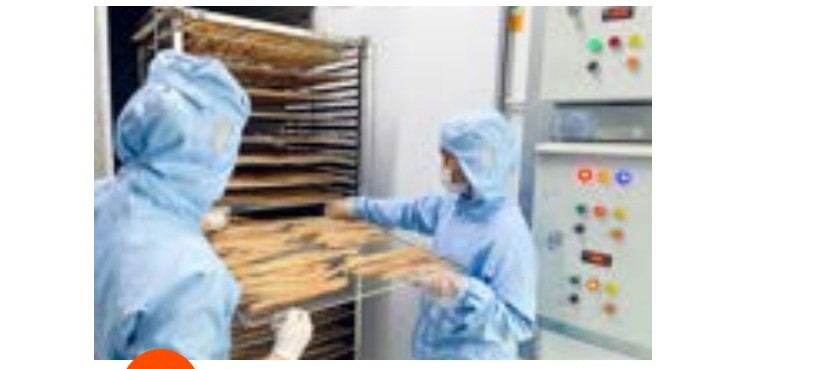 Drying process at the facility